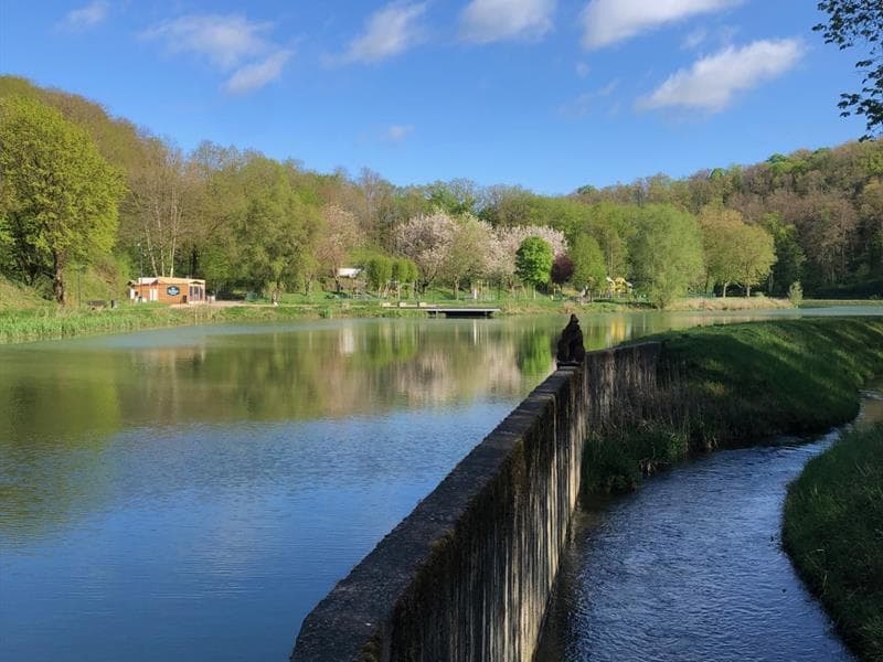 Plan d'eau de la sangsue