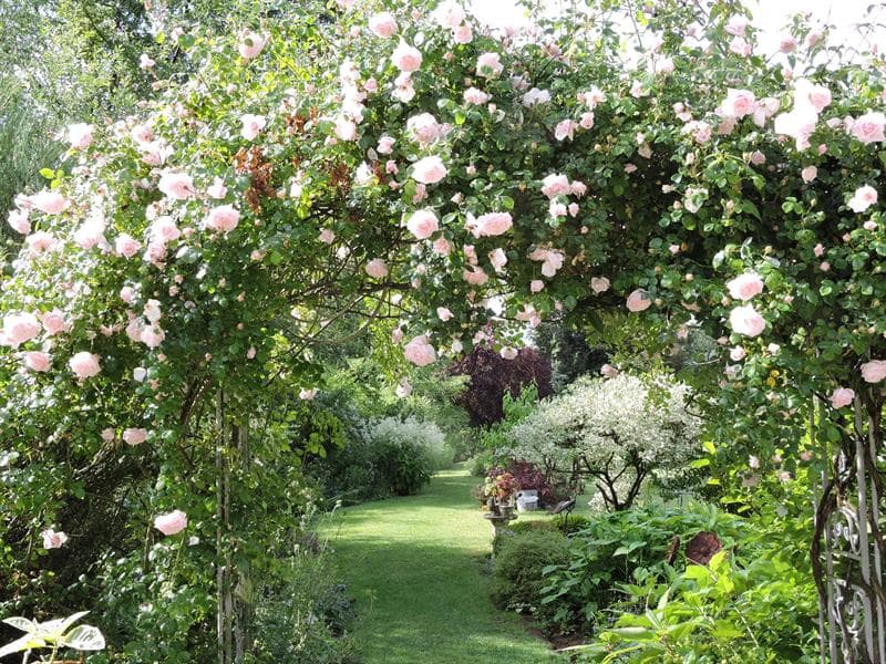 Jardin le Quenti