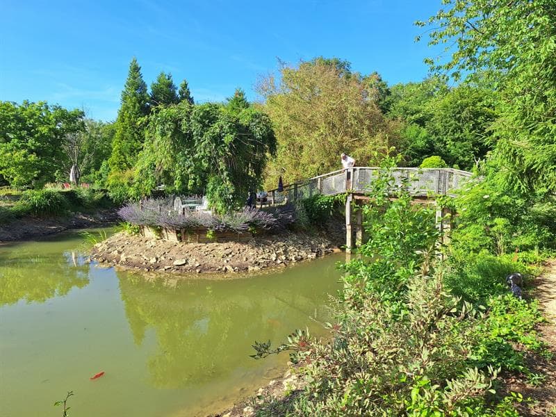 Jardin des Grimpantes