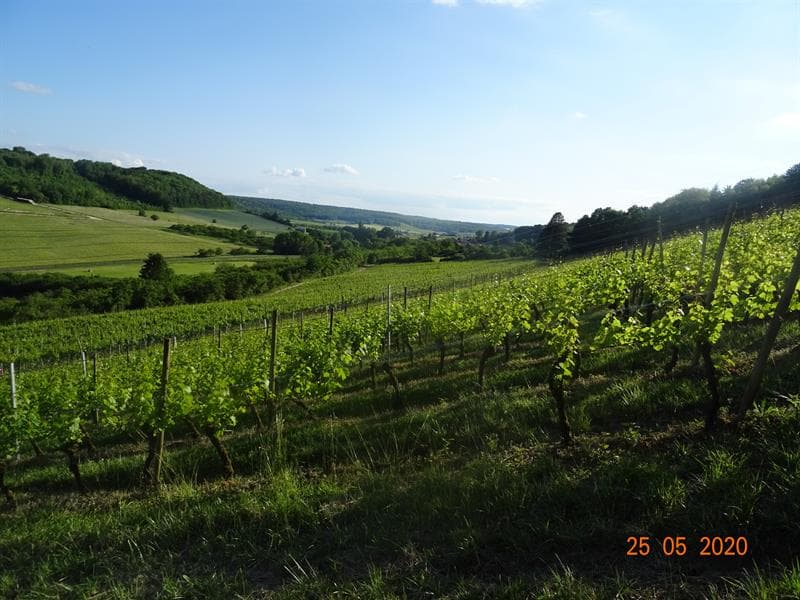 Domaine de Meussaumont