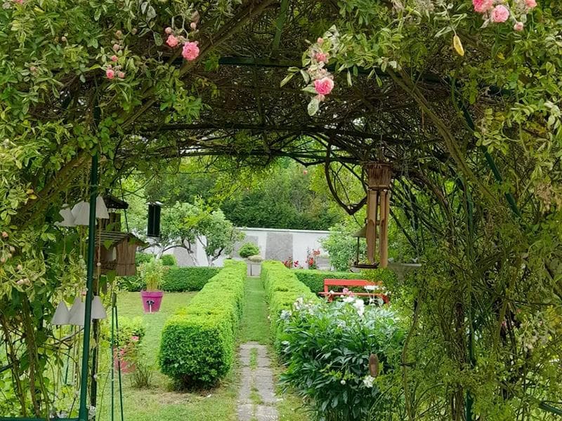 Chambre d'hôtes la Maison des Roses