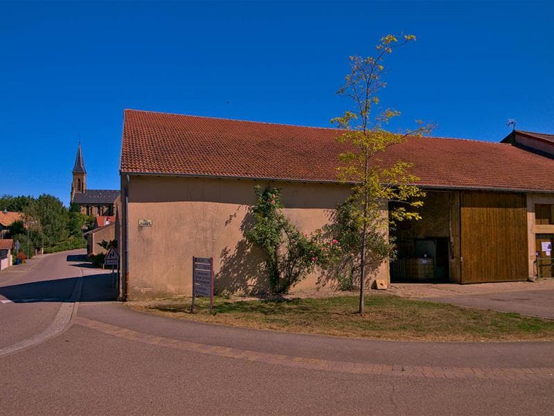 Commune de Mécleuves