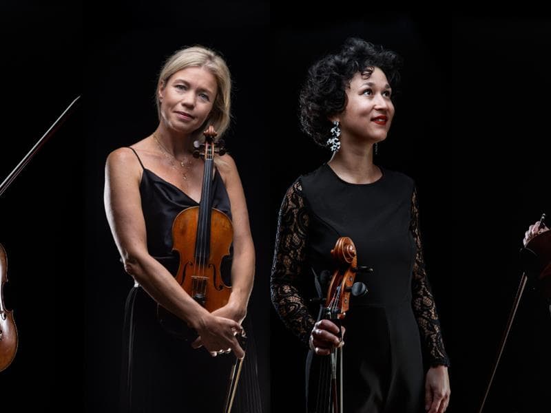 Concert - Aimez-vous Brahms?