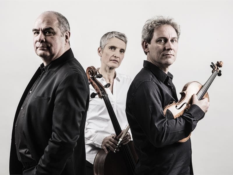 Concert - Amicalement vôtre : Trios de Beethoven
