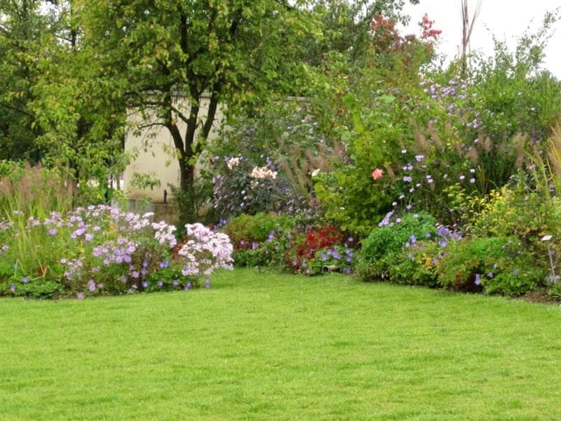 Stage - Choisir, planter et entretenir son arbre