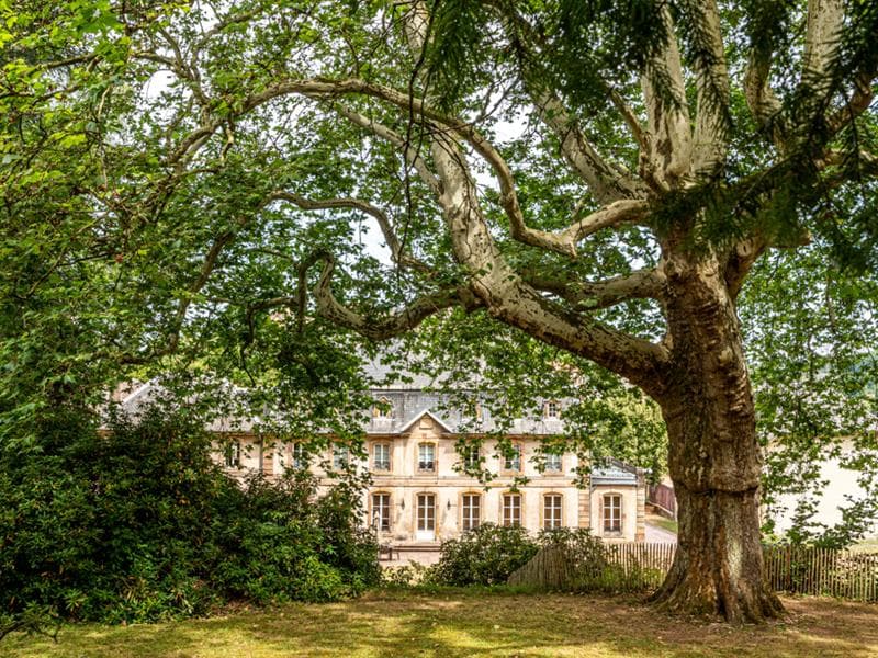 Parc du Château d'Hausen