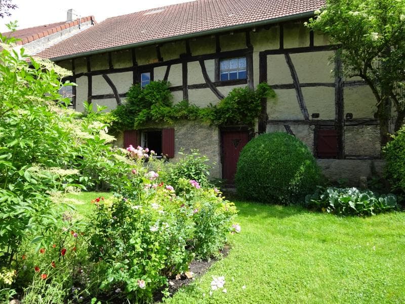 Visite commentée de l'arboretum de la Maison Güth