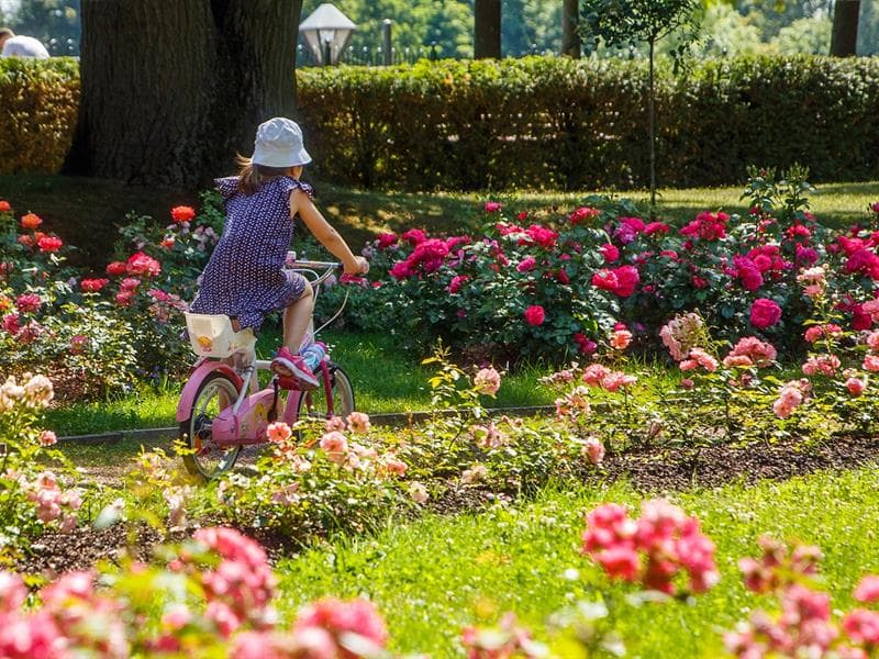 Parc Napoléon