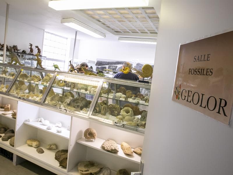 Musée Géolor