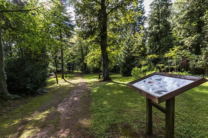 Parc du Château de Nilvange
