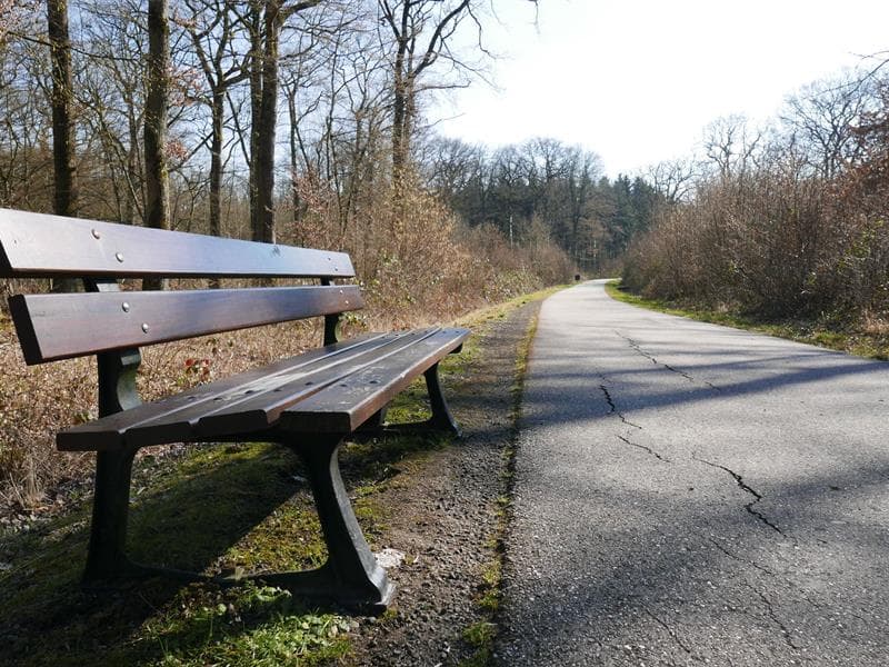 Parcours de santé