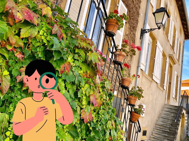 Théodon sur les traces des vignerons