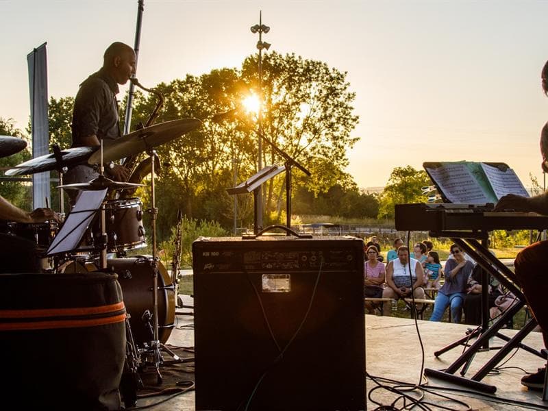 Concert Les Rapaces