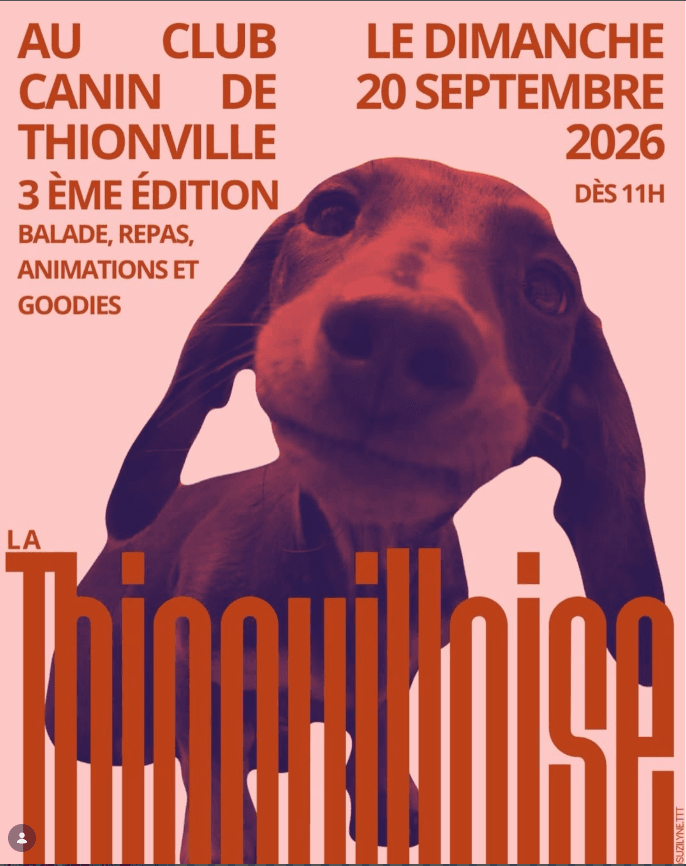 La Thionvilloise des teckels