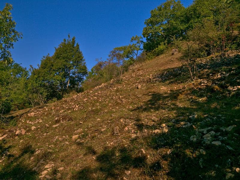 Réserve naturelle de hammelsberg
