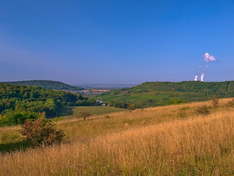 Réserve naturelle de hammelsberg