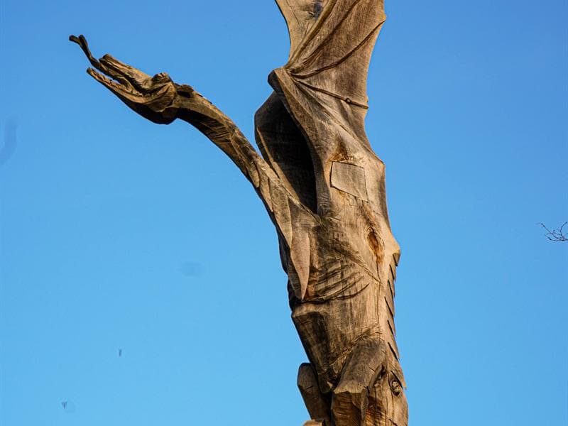 Arbre dragon sculpté