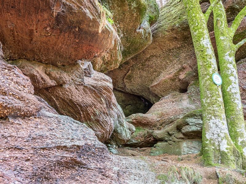 Grotte de Danne