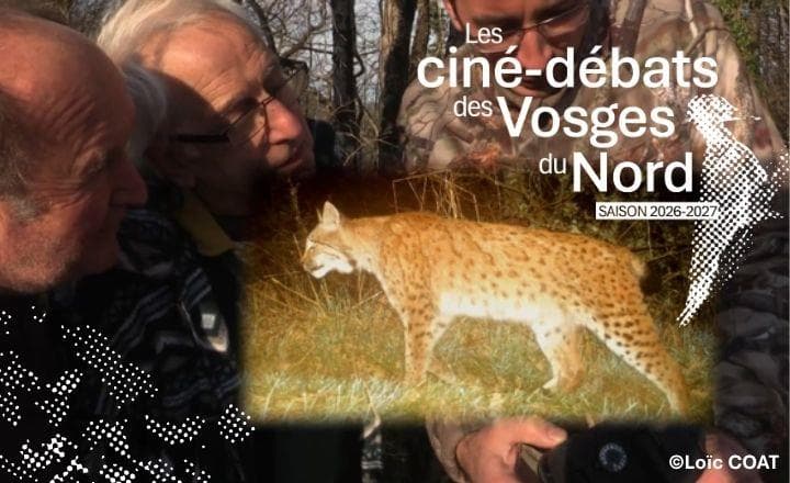 Ciné-débat - Chasseurs, proies, lynx