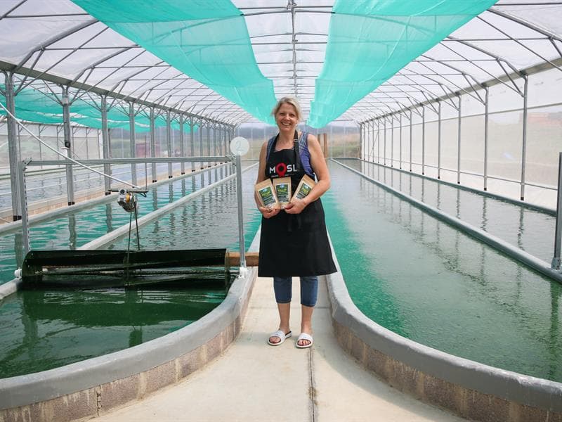 Ferme aquacole les spires d'Aline