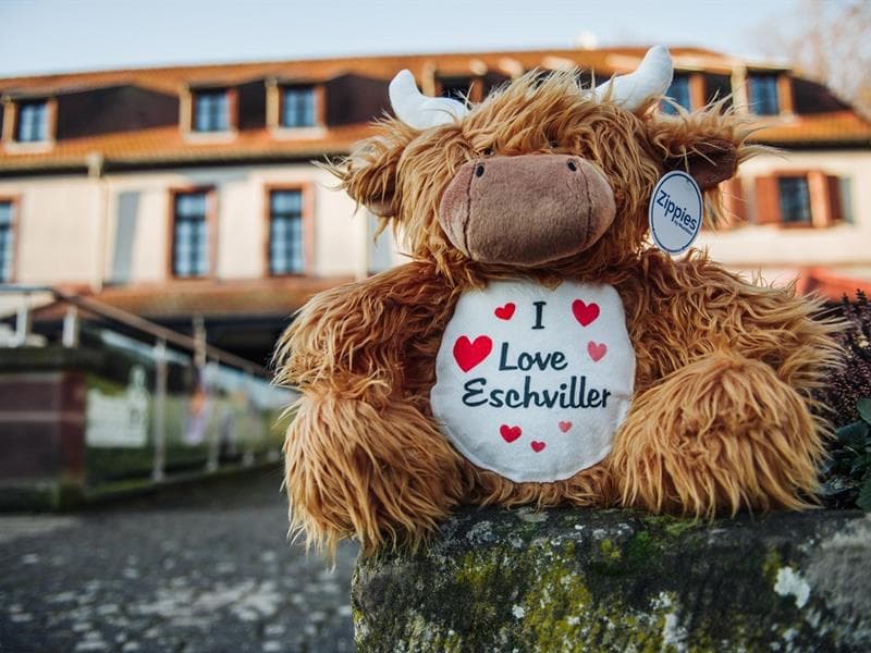 La boutique du moulin d'Eschviller