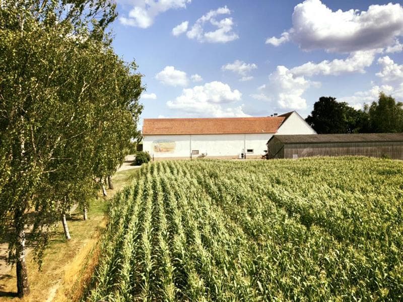 Ferme du Kleinwald