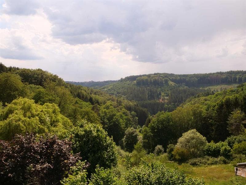 Appartement terrasse la colline vivante