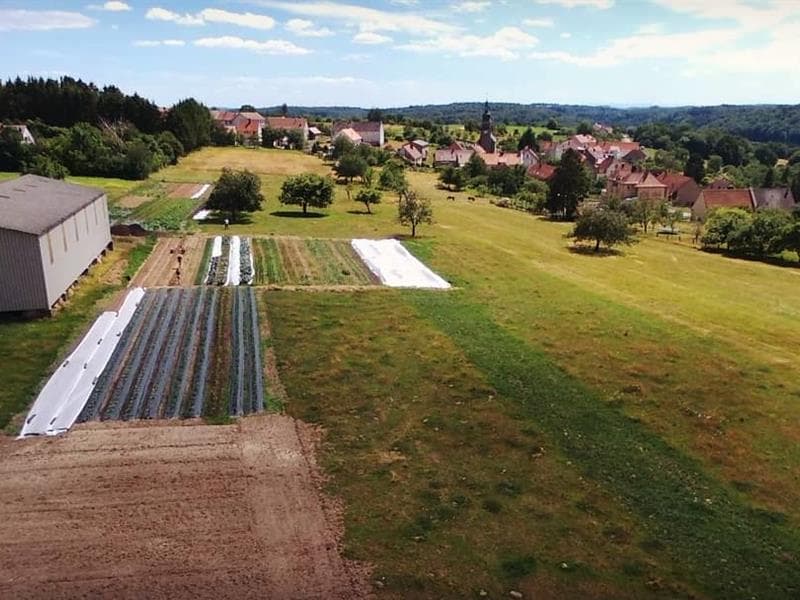 La ferme affable