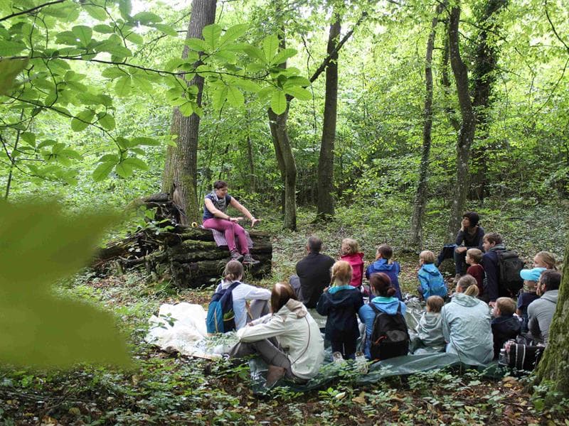 Balade contée Echos de la forêt