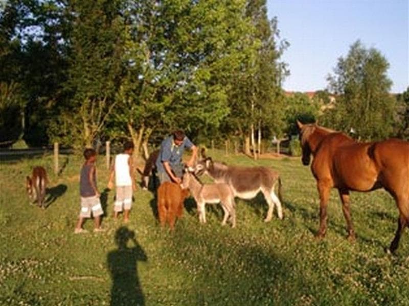 École à la ferme