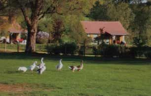 École à la ferme