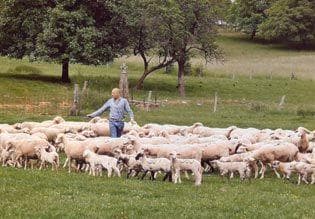 Découverte de la ferme à Guébling