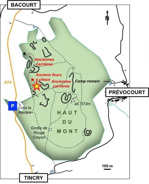 Oppidum protohistorique de Tincry