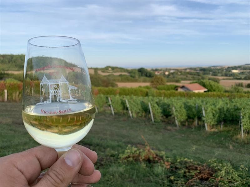 Domaine Dietrich Girardot