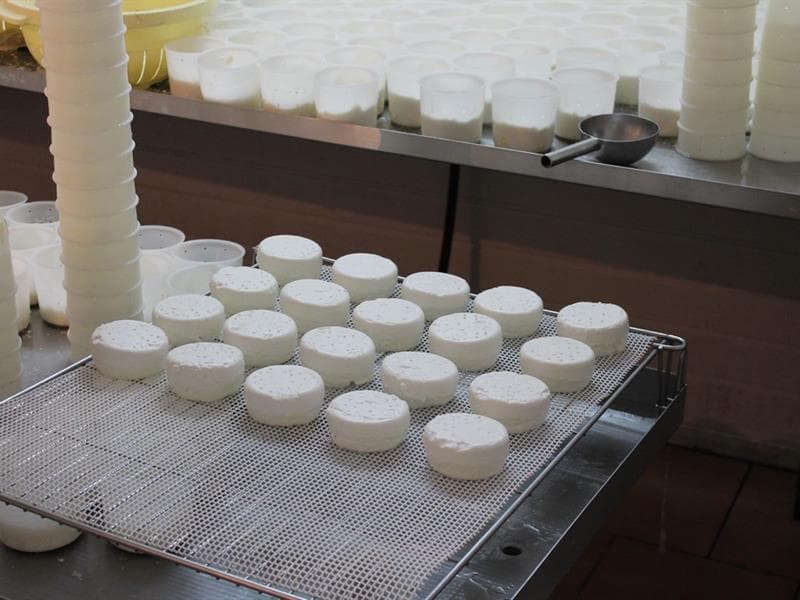 Fromagerie - ferme des Bigoudis