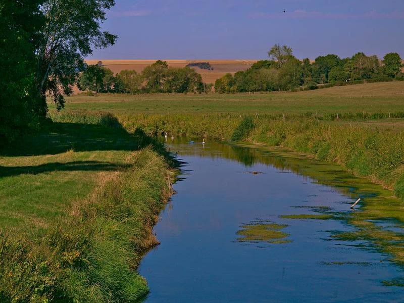 Vallée de la Seille et prés salés de Marsal