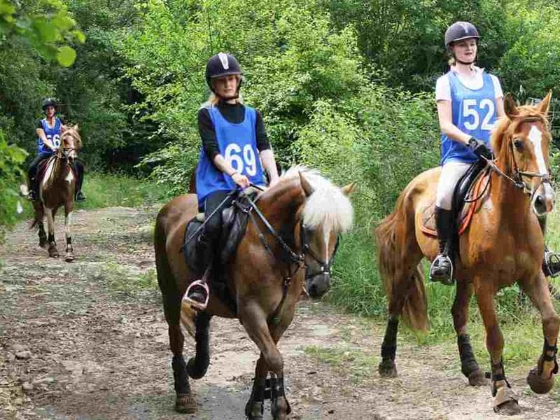 Ferme Equestre du Patureau