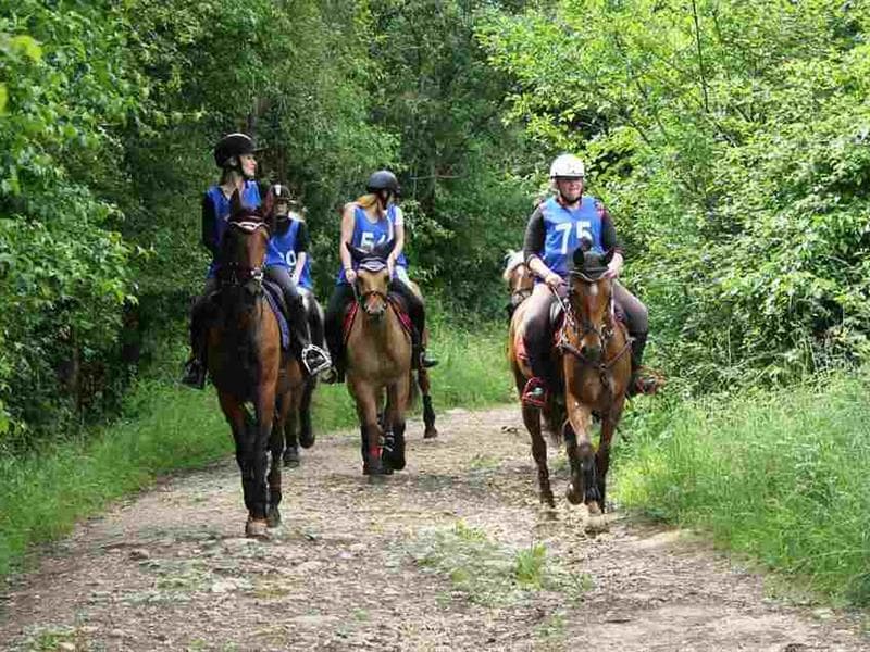 Ferme Equestre du Patureau