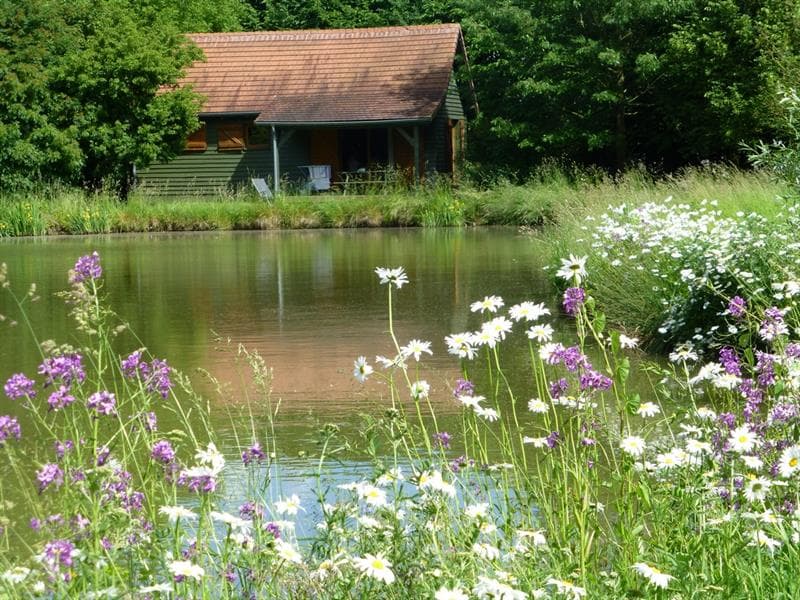 Chalet séquoia