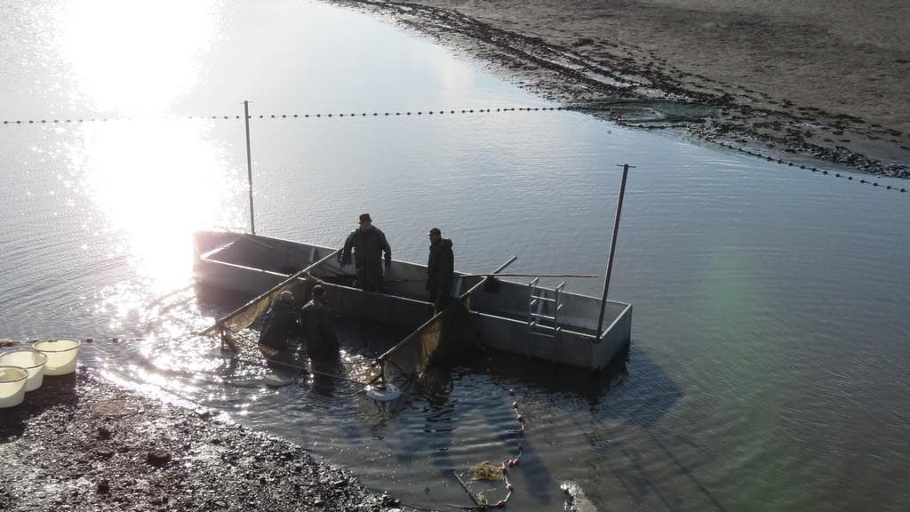 Domaine départemental de Lindre - pisciculture