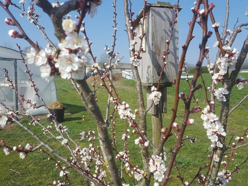 Au Grand Jardin