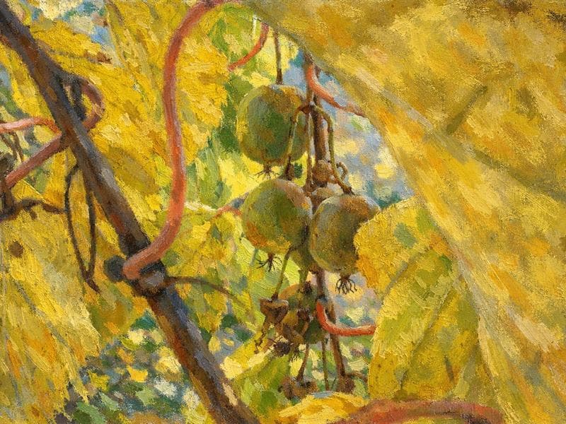 Visite thématique : balade gourmande au jardin Une Figue dans le Poirier