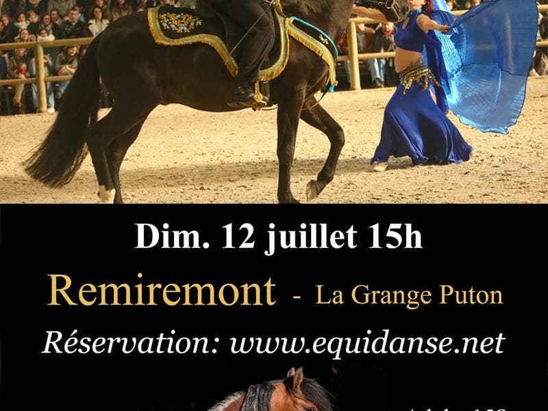 Spectacle EquiDanse