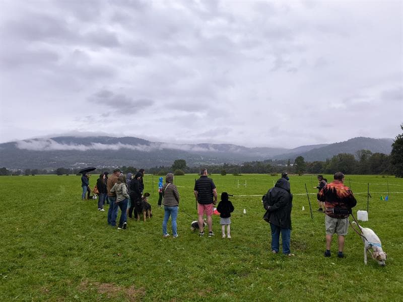 Festival des 4 Pattes