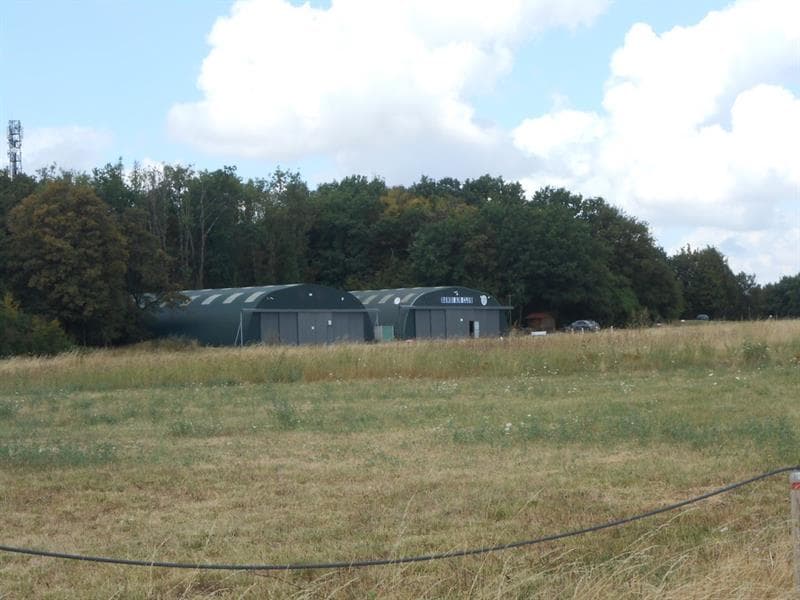 Bambi air club