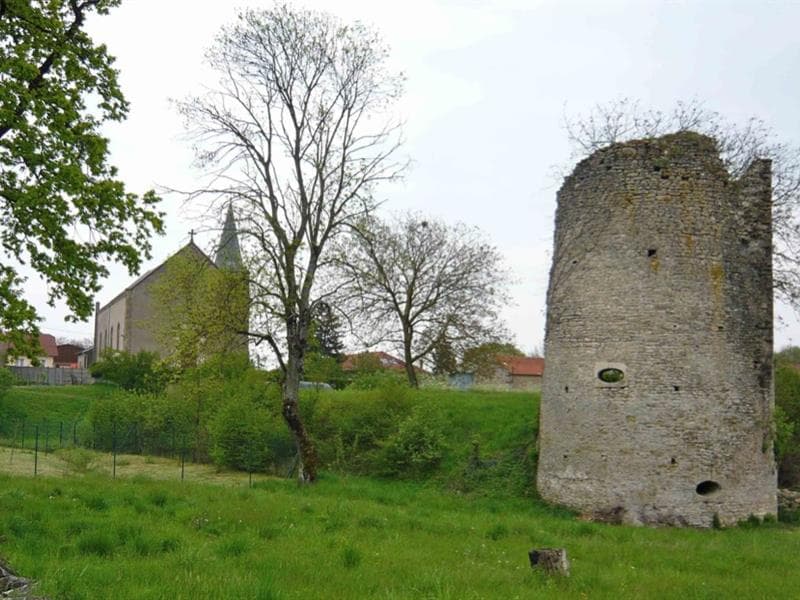 La tour du château comtal de Créhange