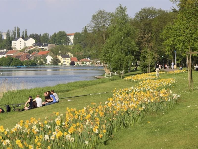 Lac de Creutzwald