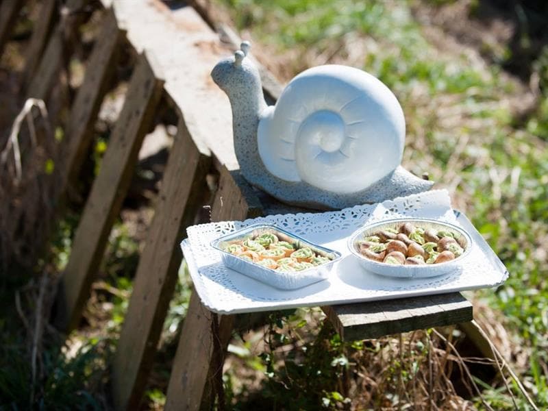 La coquille gourmande escargots et miel