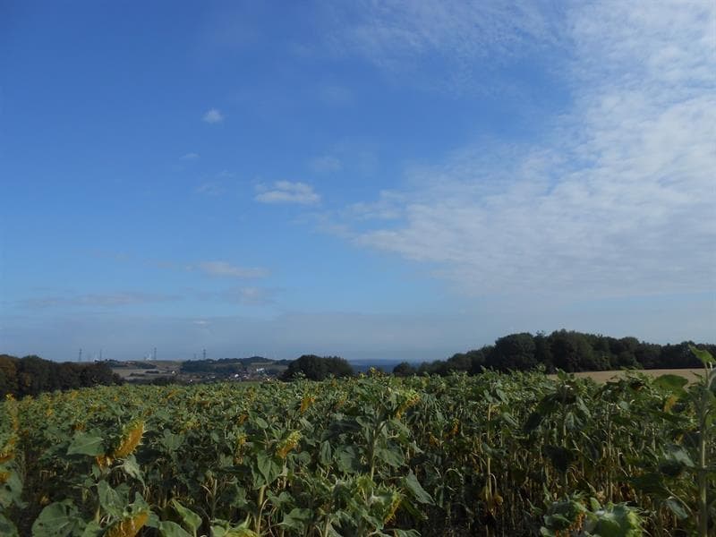 Aire de pique-nique de Longeville-lès-Saint-Avold