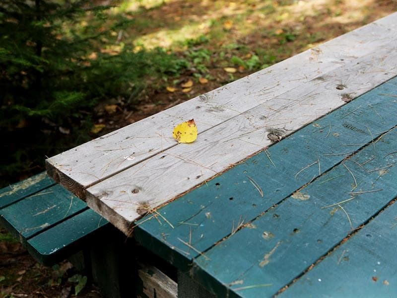 Aire de pique-nique de Coume